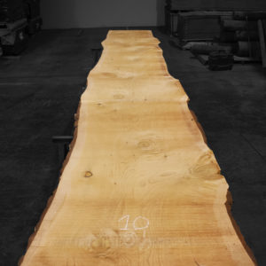 Tablón de madera maciza de Cedro del Líbano nº 10 para mesas de reuniones