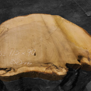 Rodaja de madera maciza de Cedro del Líbano nº 3