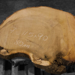 Rodajas de madera maciza de Cedro del Líbano nº 7