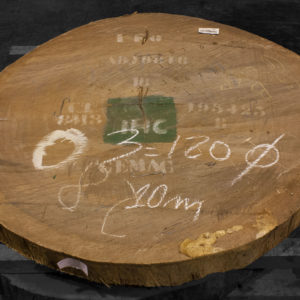Rodaja nº 3 de madera maciza de Iroko, corte transversal