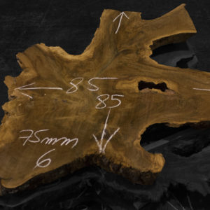Rodaja nº 6 de madera de Nogal Español, corte transversal