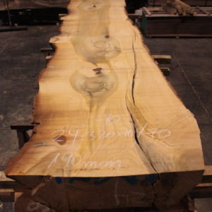 Tablón de madera maciza de Cedro del Líbano nº 24