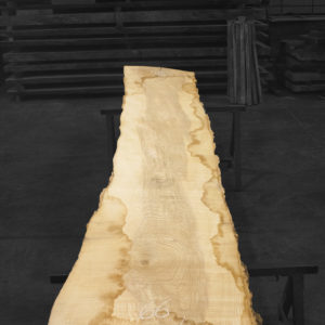 Tabla de madera maciza de Fresno nº 24