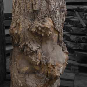 Trozada de madera maciza de Fresno nº 1, especial decoraciones, patas de mesas y taburetes