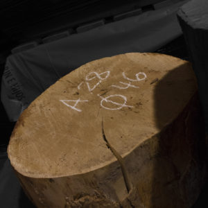 Trozada de madera maciza de Sicomoro nº 2 especial decoraciones, patas de mesa y taburetes