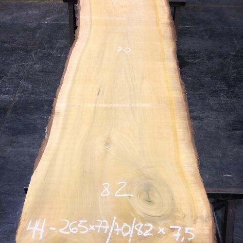 Cedro del Líbano nº 44