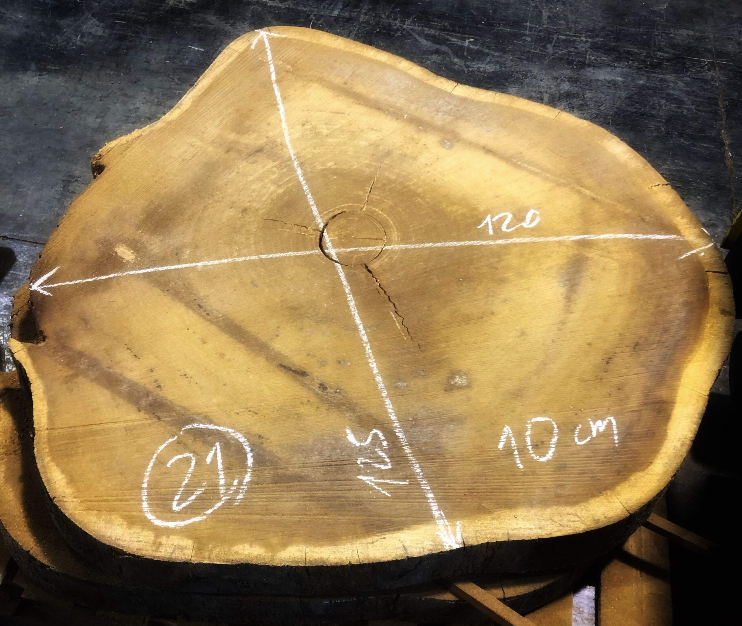 Iroko, rodaja nº 21