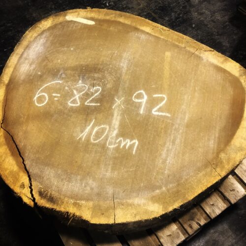 Iroko, rodaja nº 06