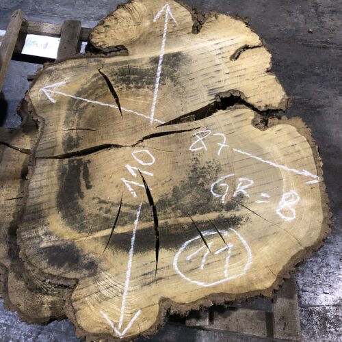 Roble, rodaja nº 11