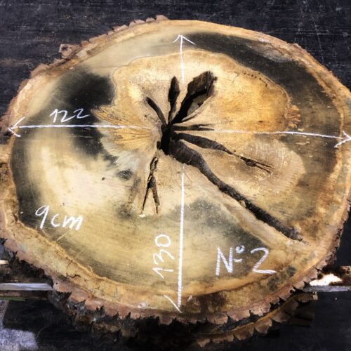 Roble, rodaja nº 02