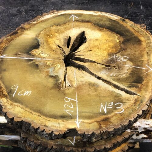 Roble, rodaja nº 03