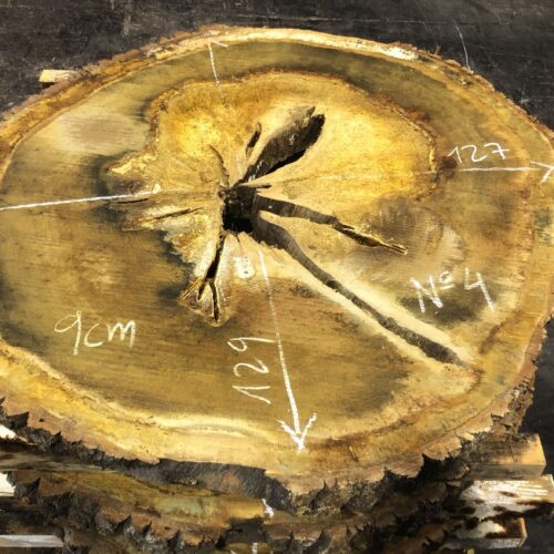 Roble, rodaja nº 04