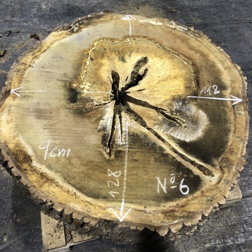 Roble, rodaja nº 06