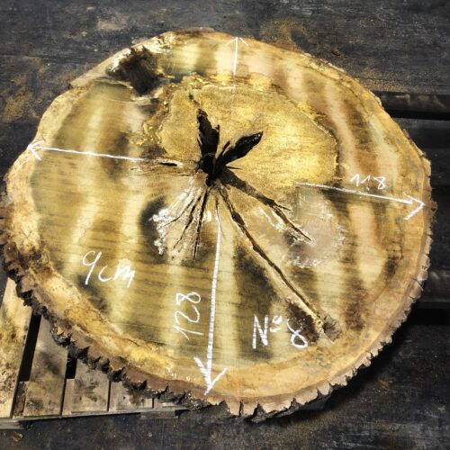 Roble, rodaja nº 08