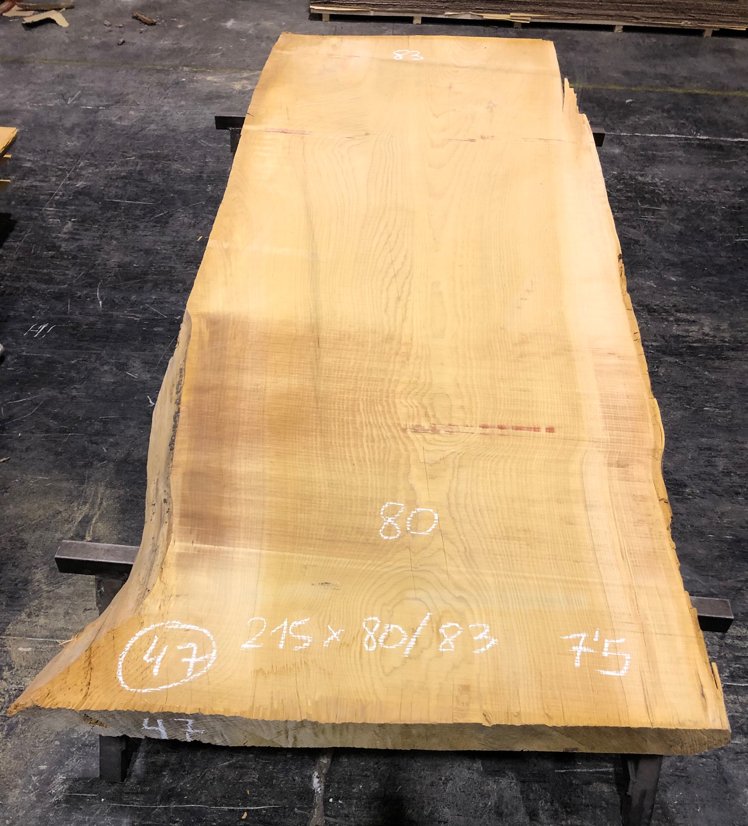 Cedro del Líbano nº 47