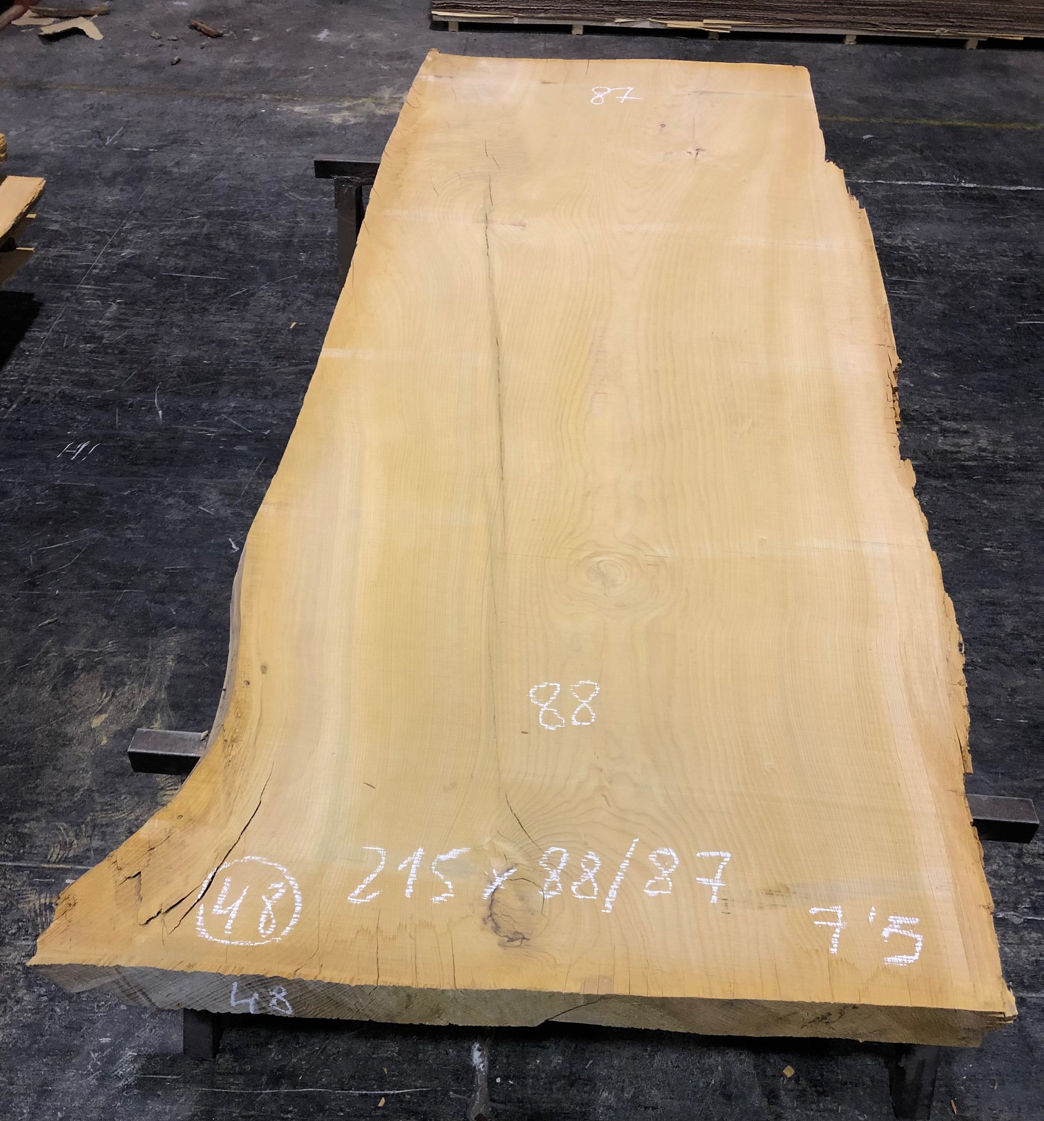 Cedro del Líbano nº 48