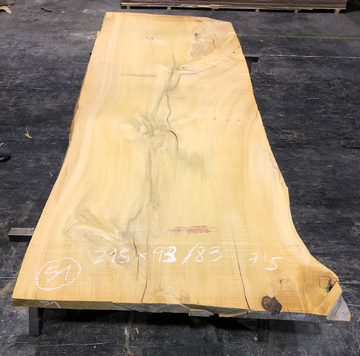 Cedro del Líbano nº 51