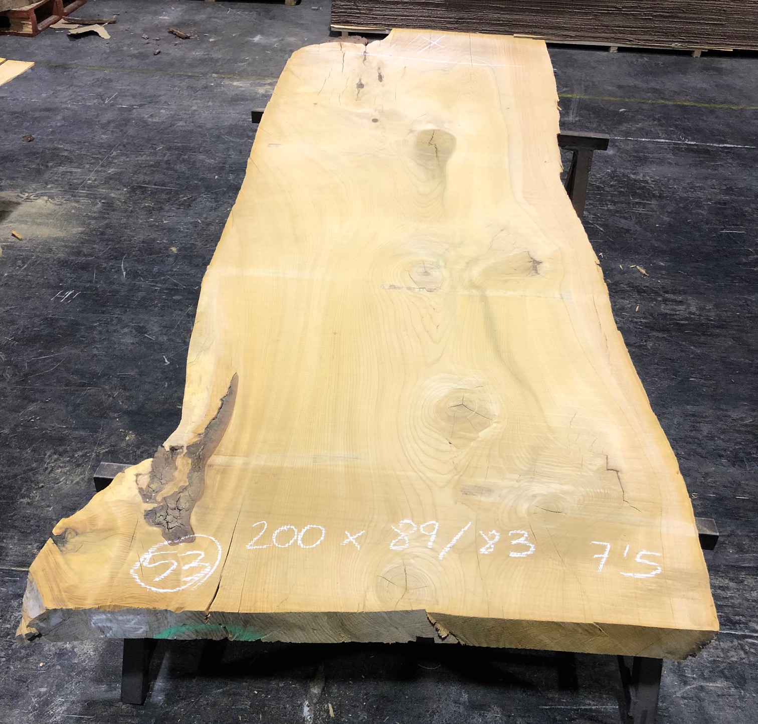 Cedro del Líbano nº 53