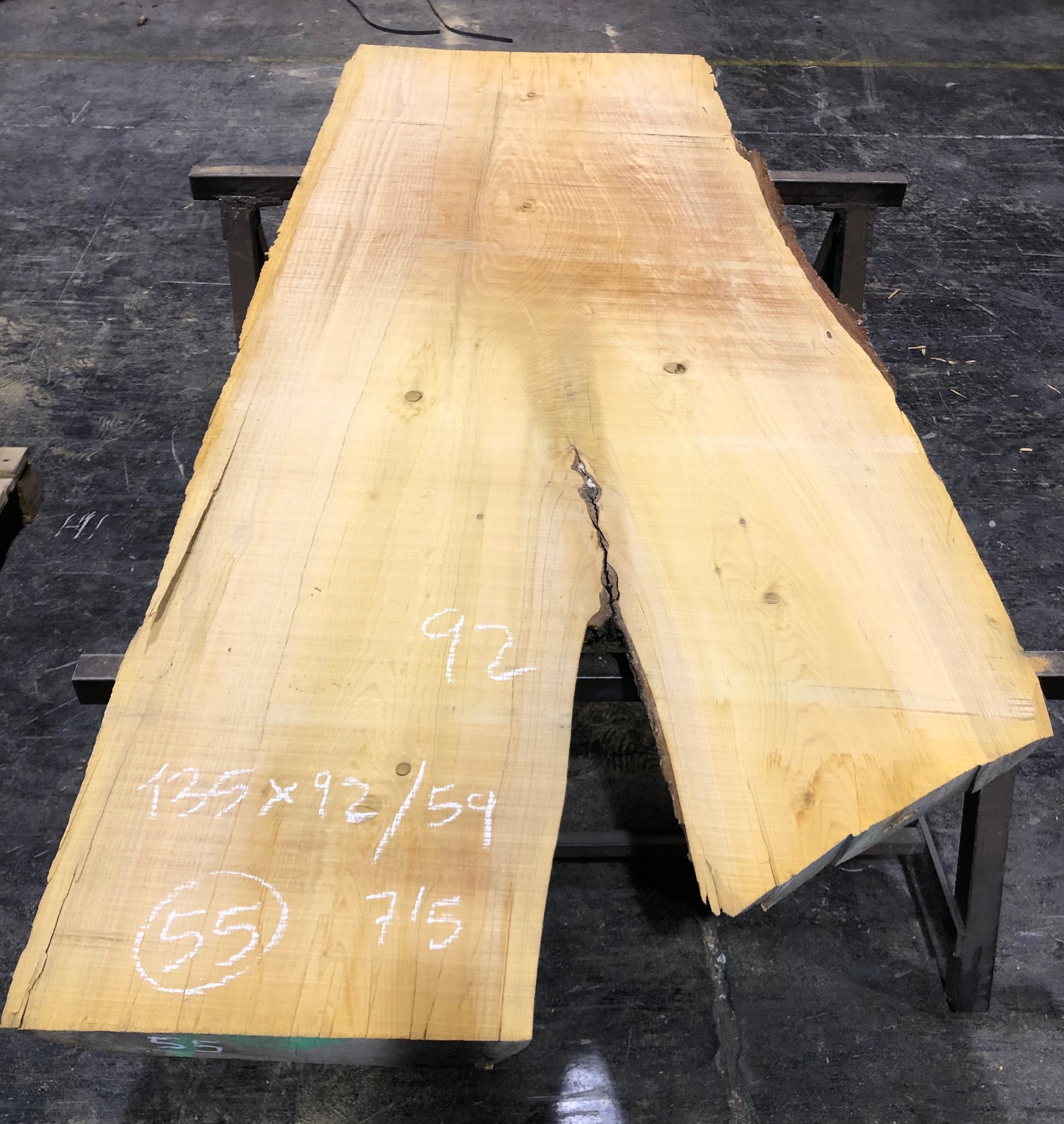 Cedro del Líbano nº 55