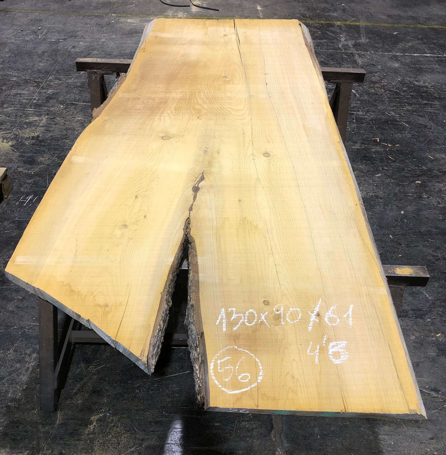 Cedro del Líbano nº 56