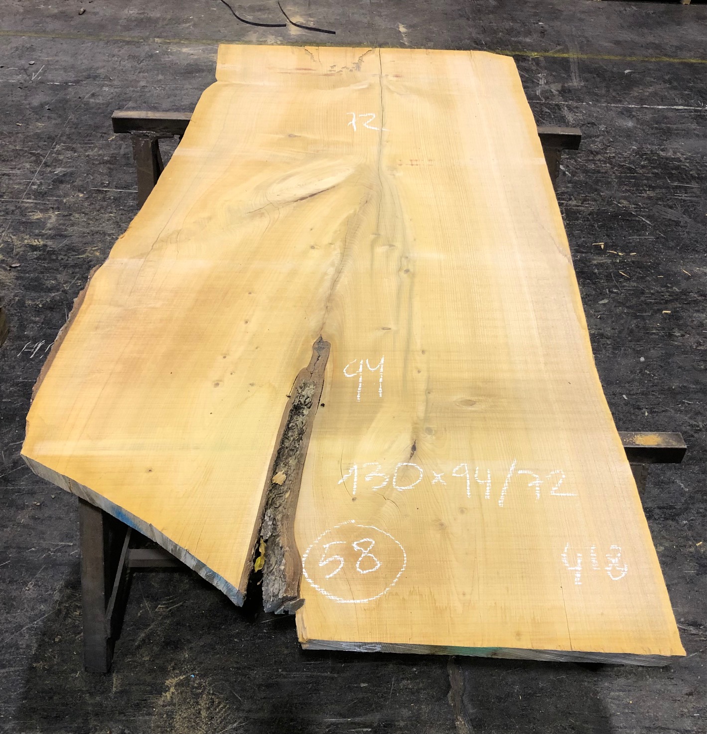 Cedro del Líbano nº 58