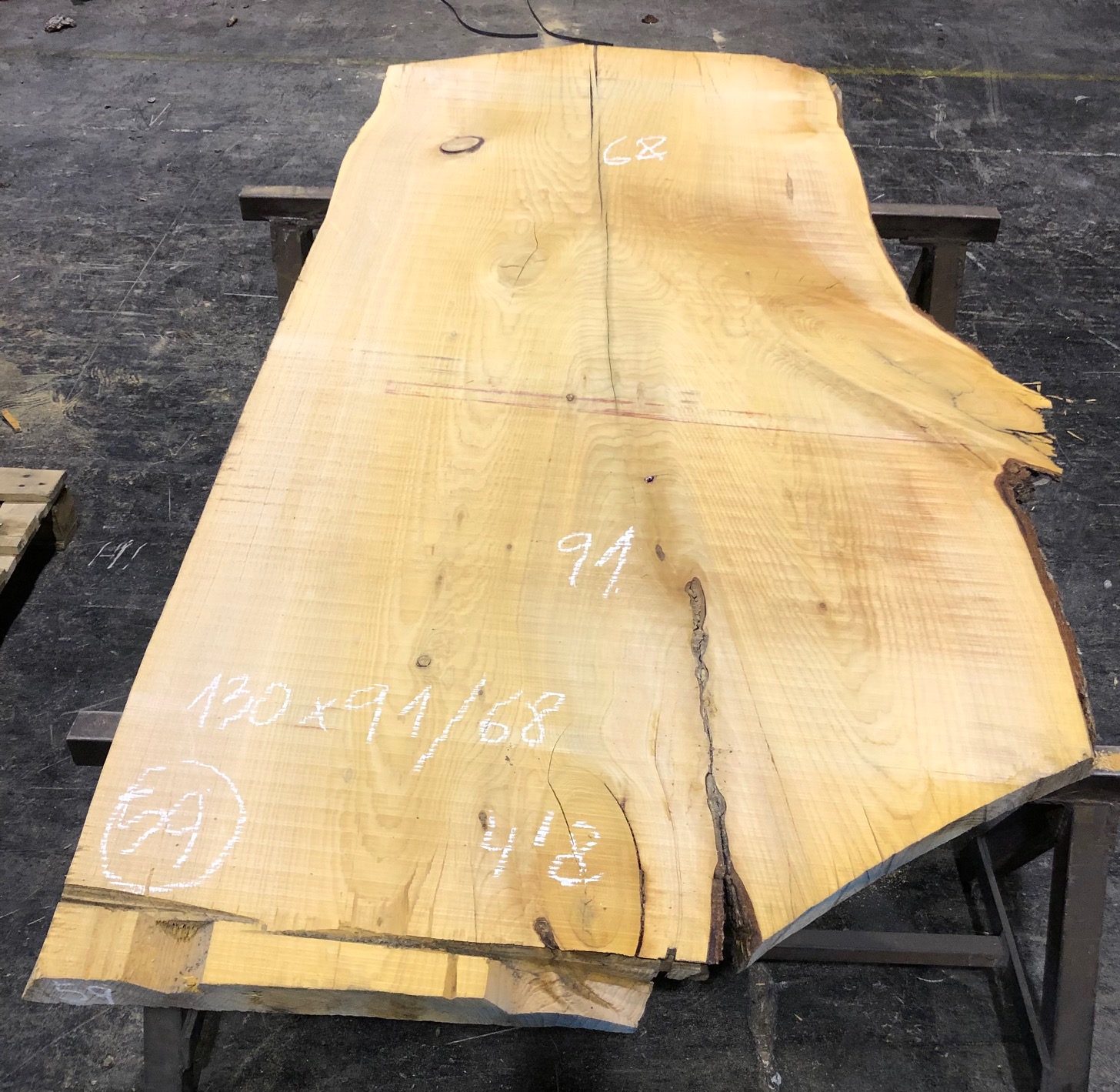 Cedro del Líbano nº 59