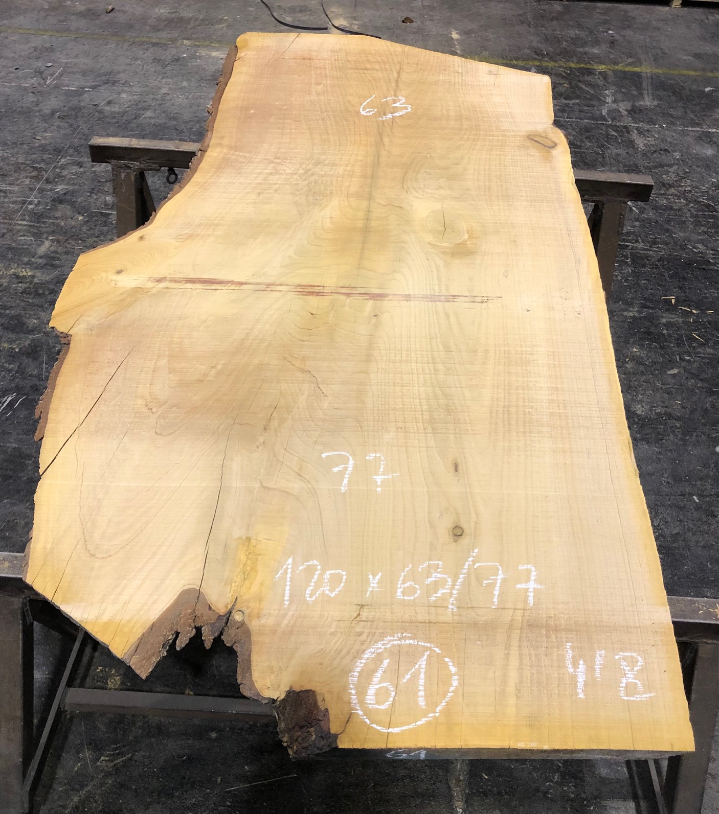 Cedro del Líbano nº 61