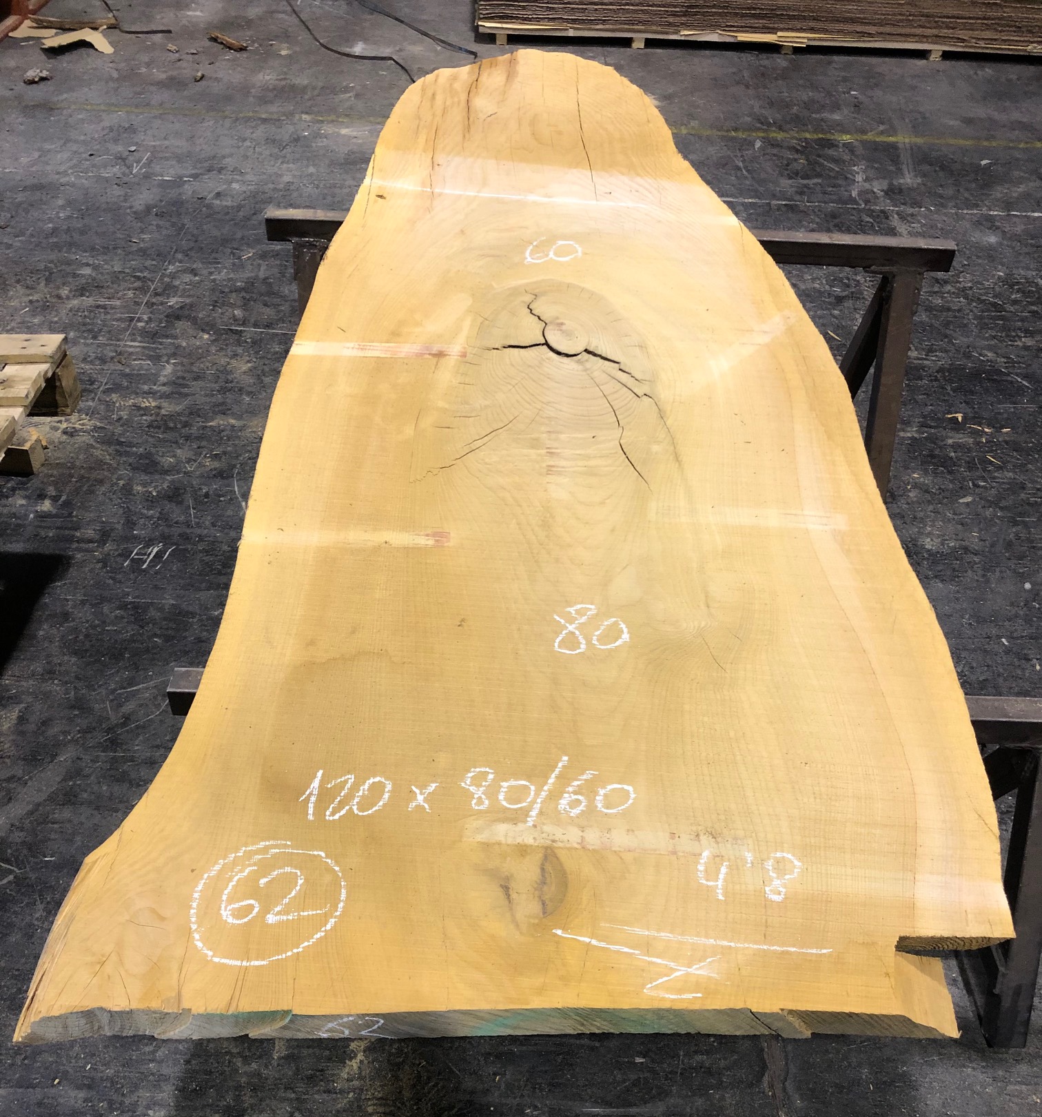 Cedro del Líbano nº 62