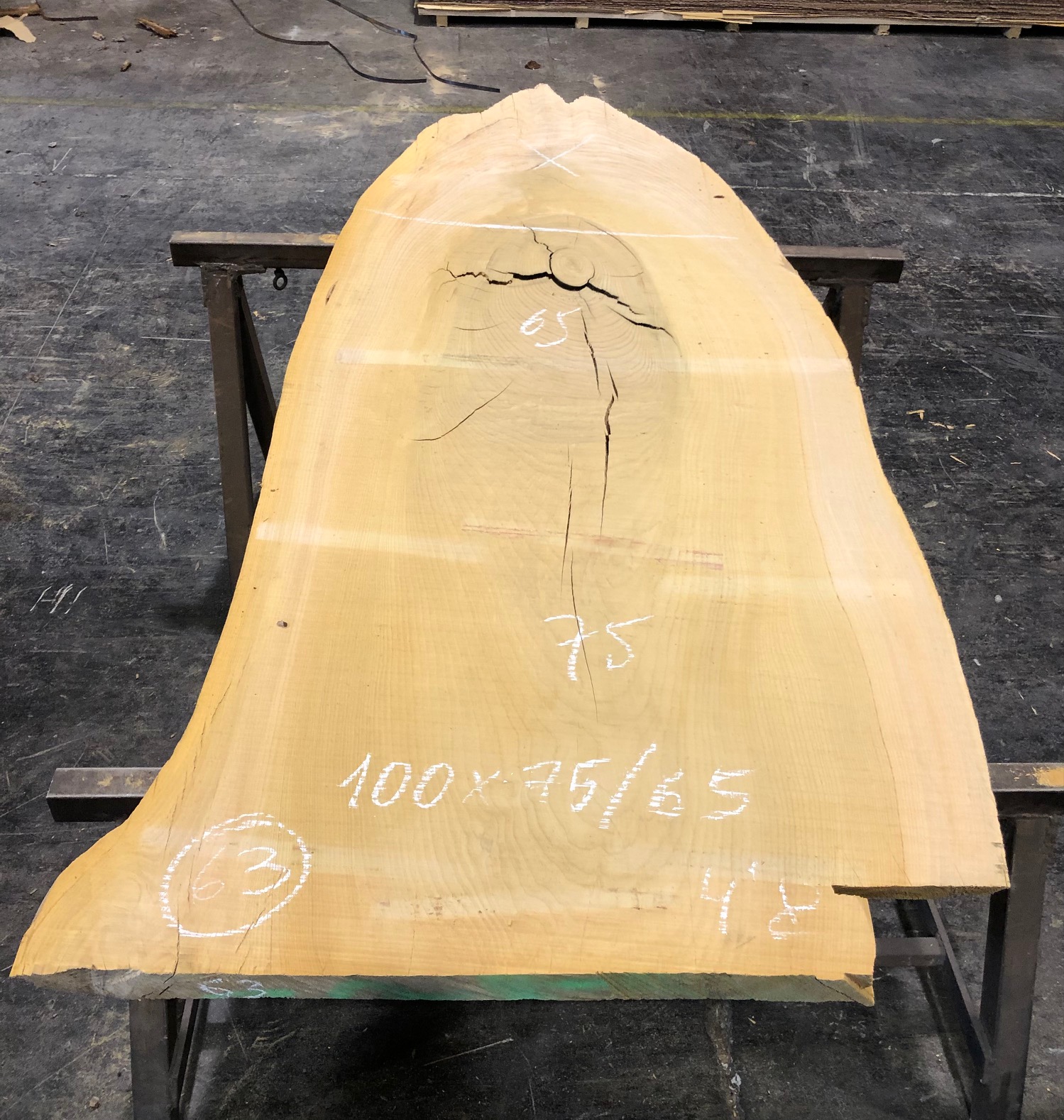 Cedro del Líbano nº 63