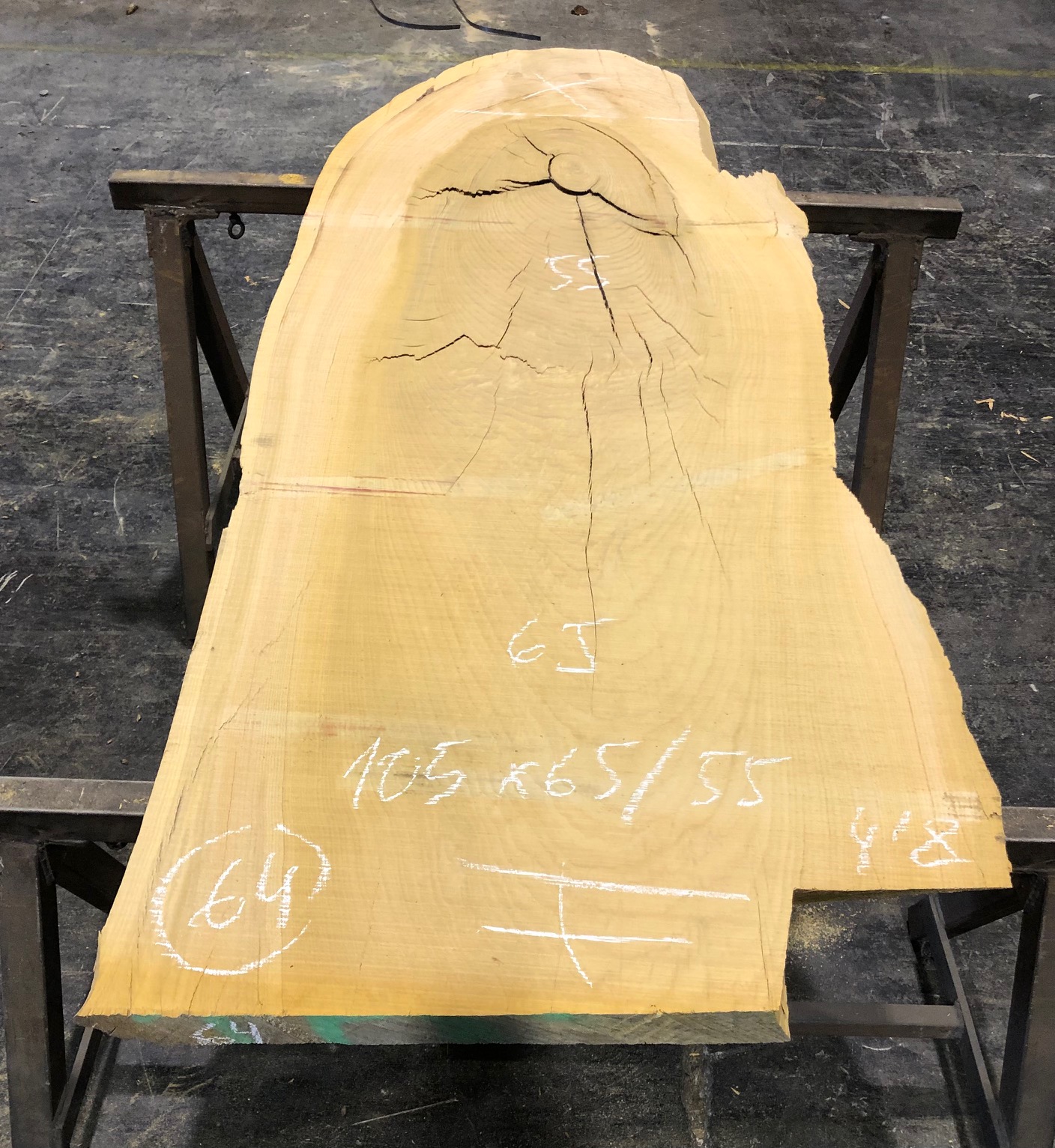 Cedro del Líbano nº 64