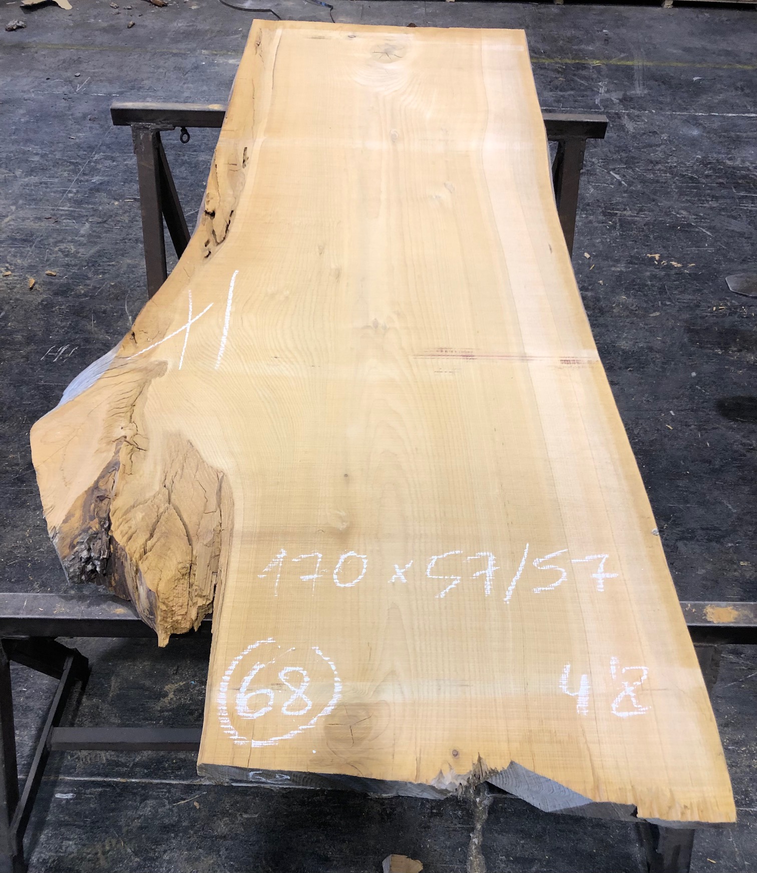 Cedro del Líbano nº 68