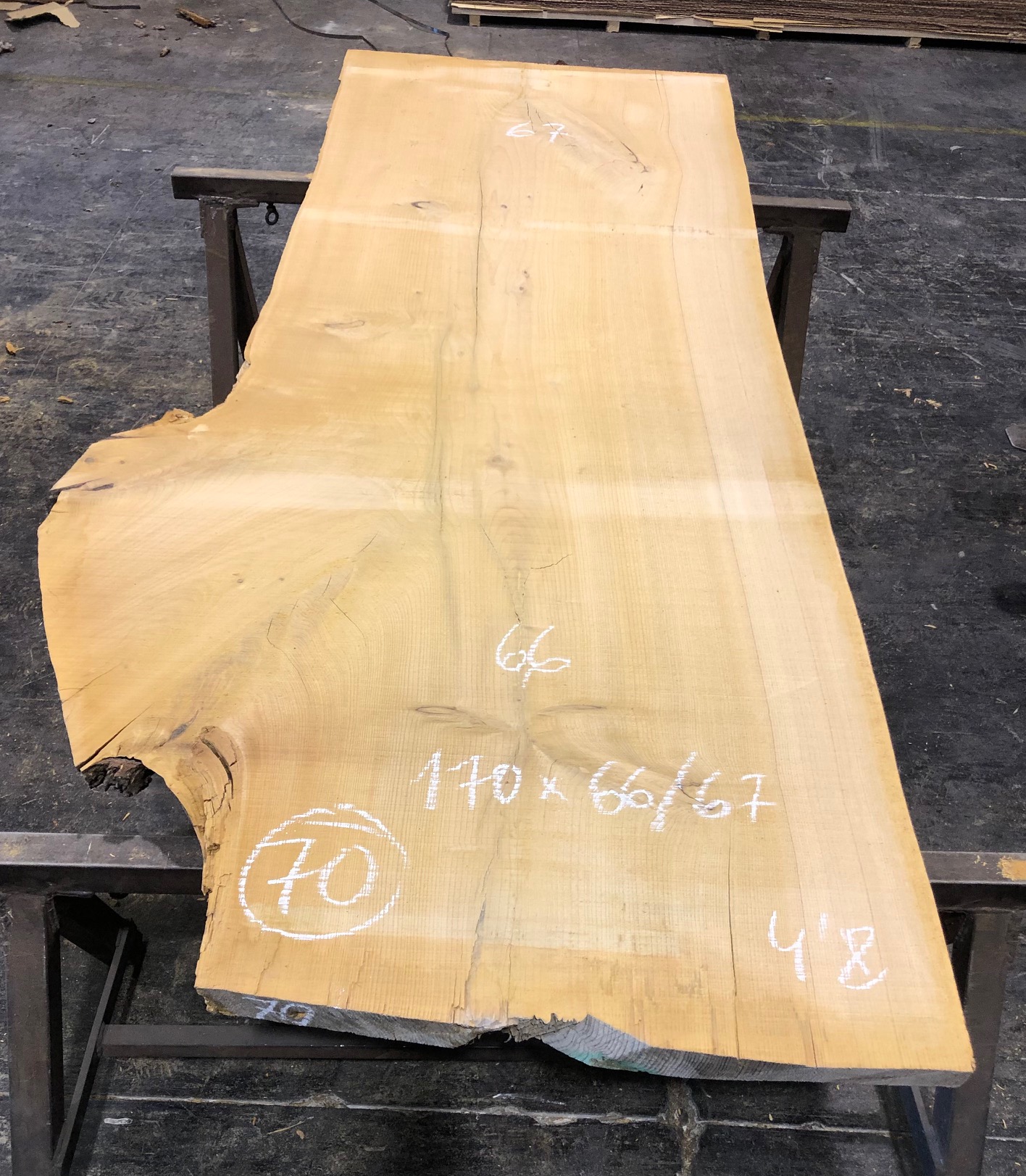 Cedro del Líbano nº 70