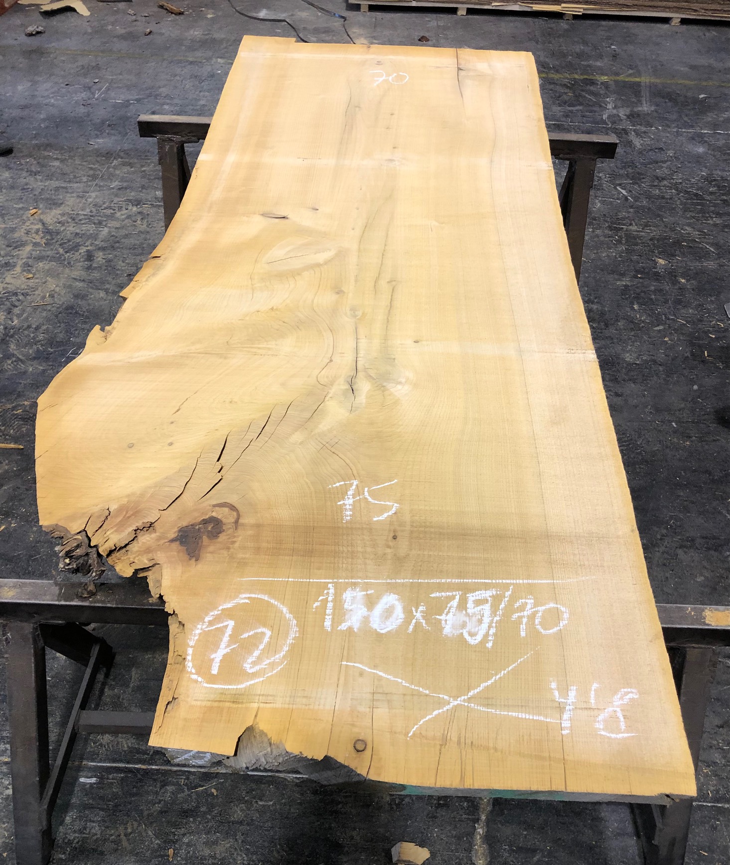 Cedro del Líbano nº 72