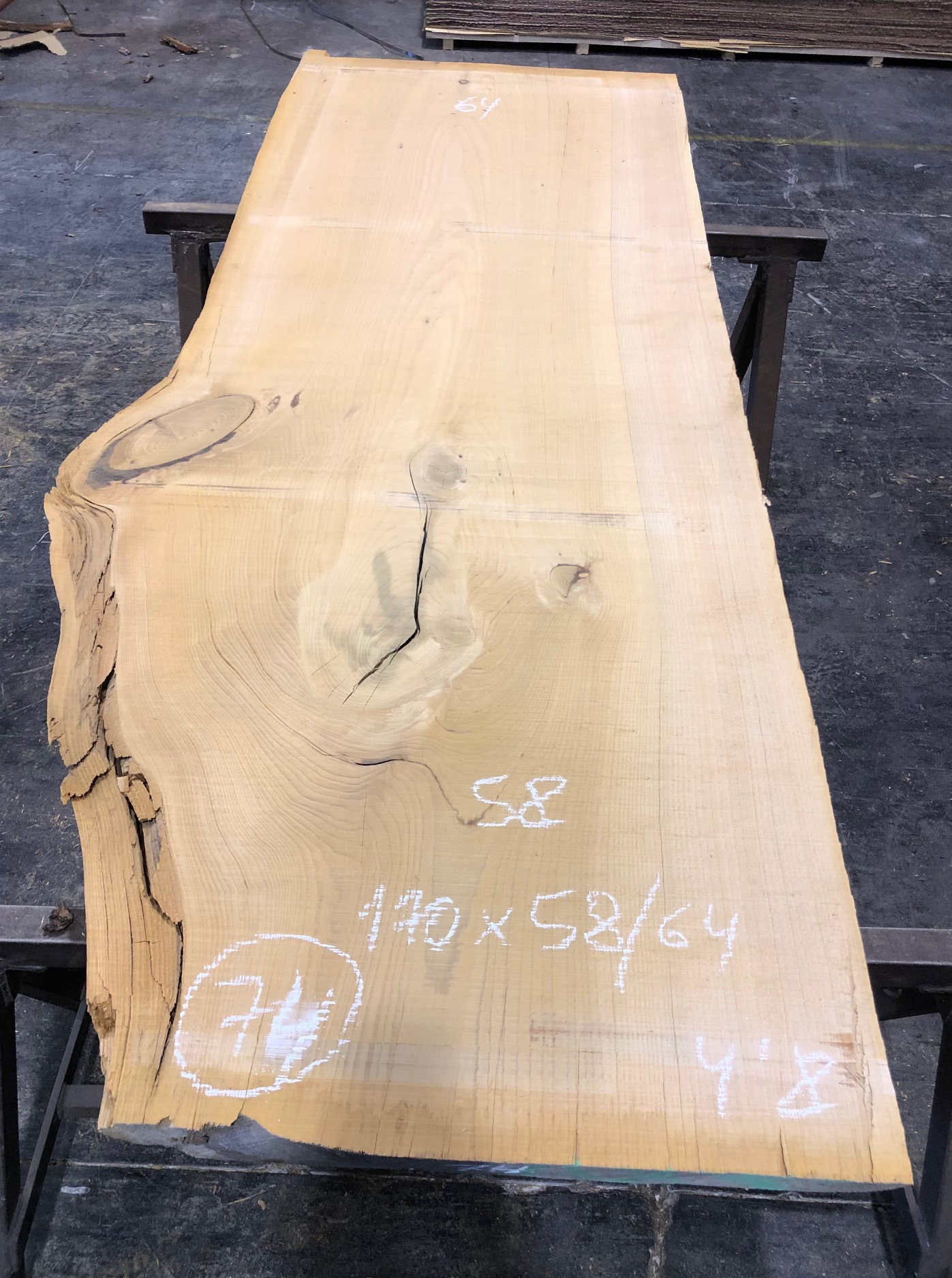 Cedro del Líbano nº 74