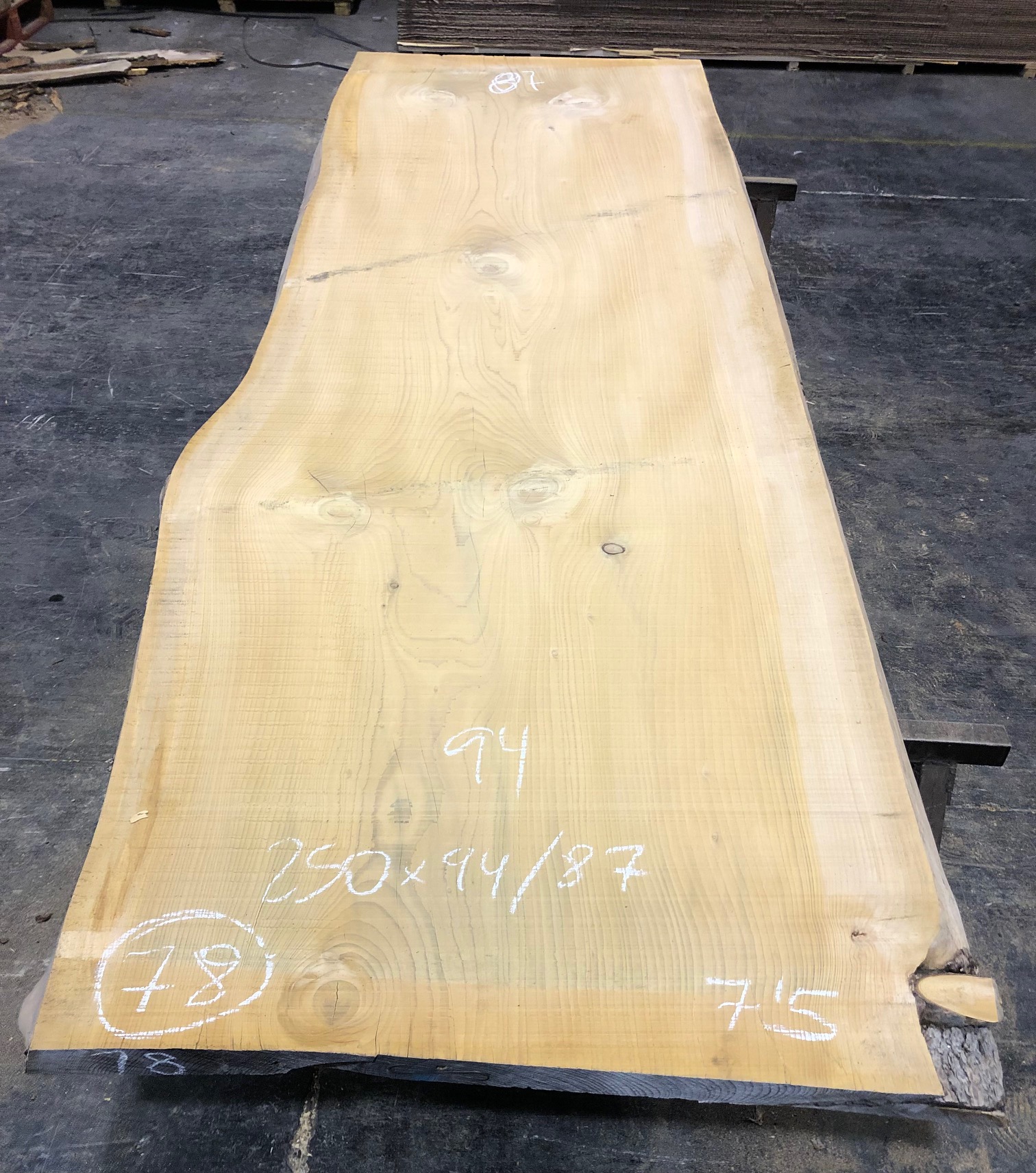 Cedro del Líbano nº 78