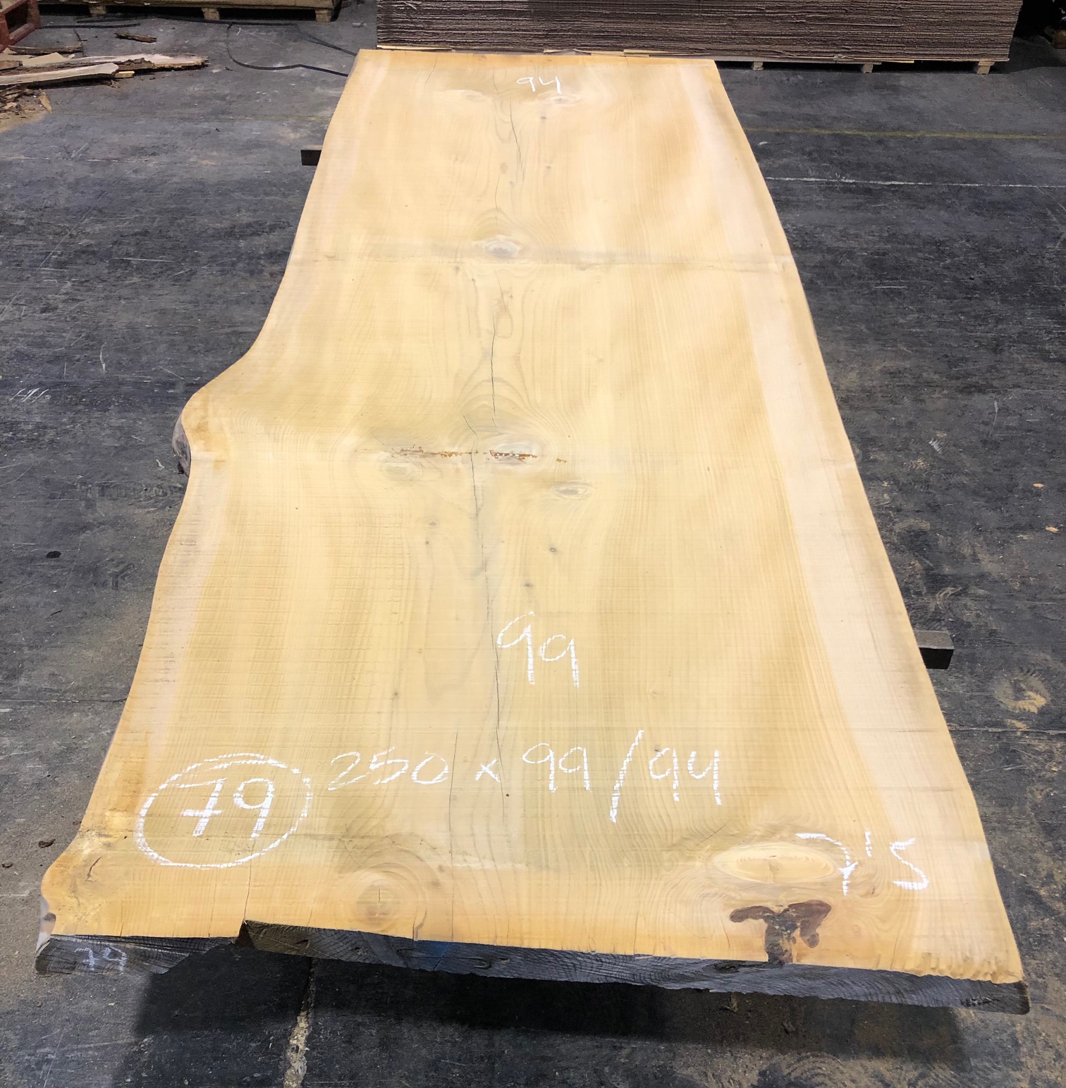 Cedro del Líbano nº 79