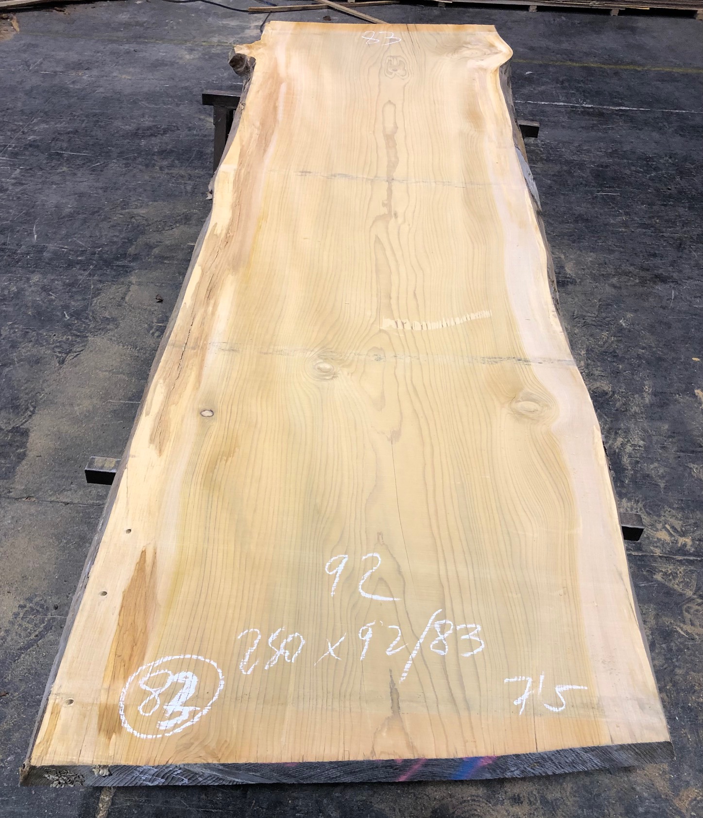 Cedro del Líbano nº 83