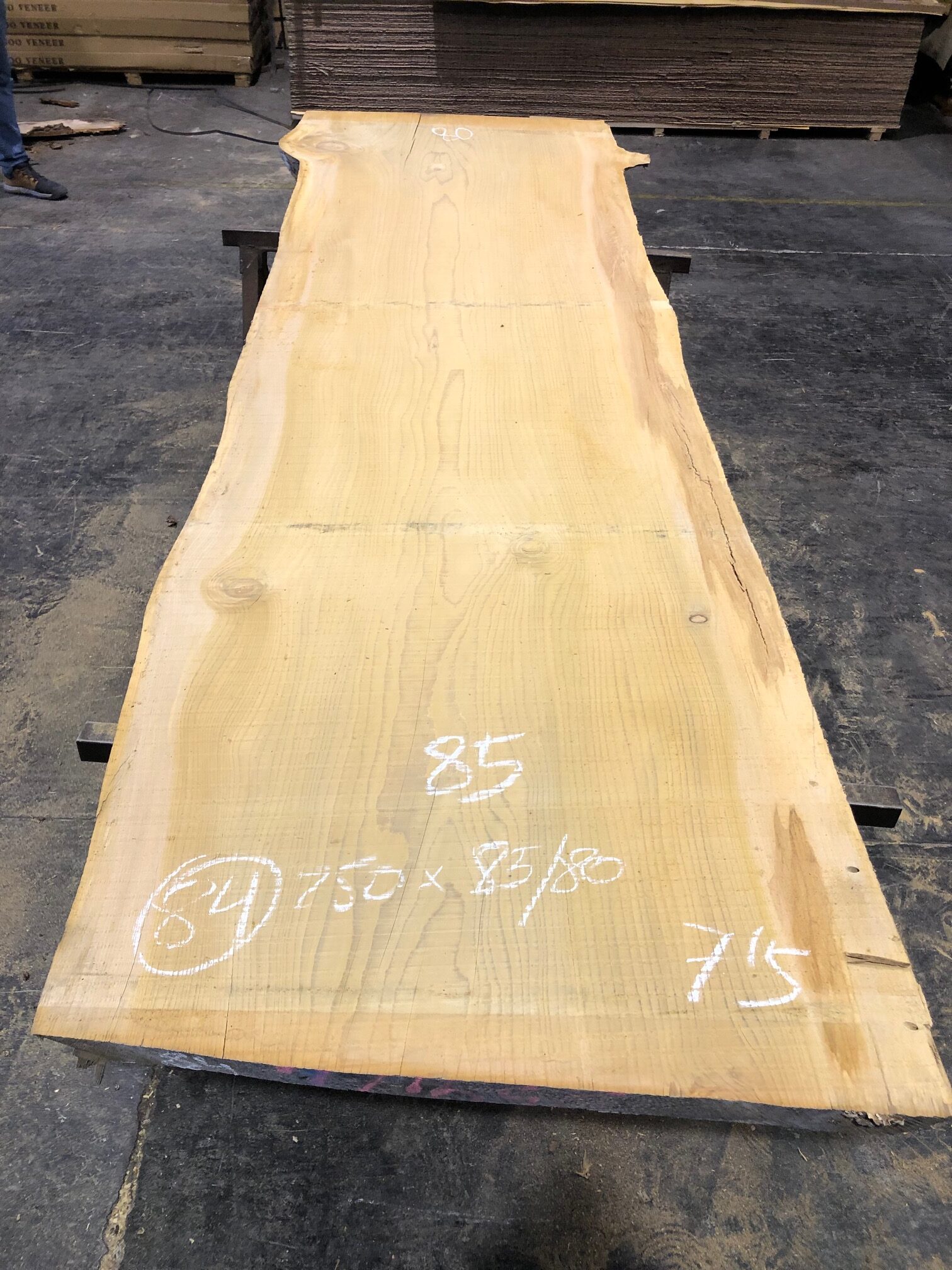 Cedro del Líbano nº 84