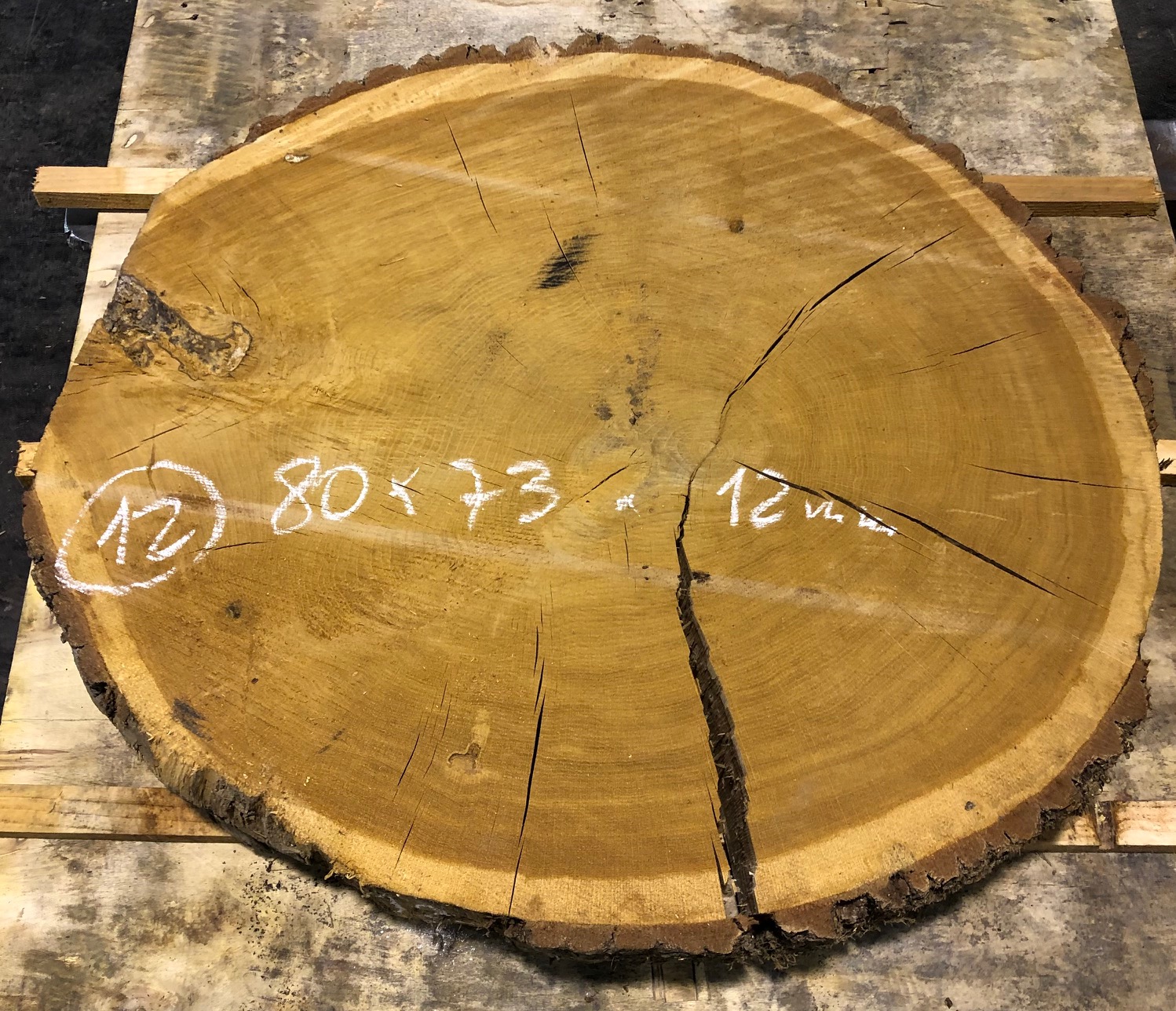 Roble, rodaja nº 12