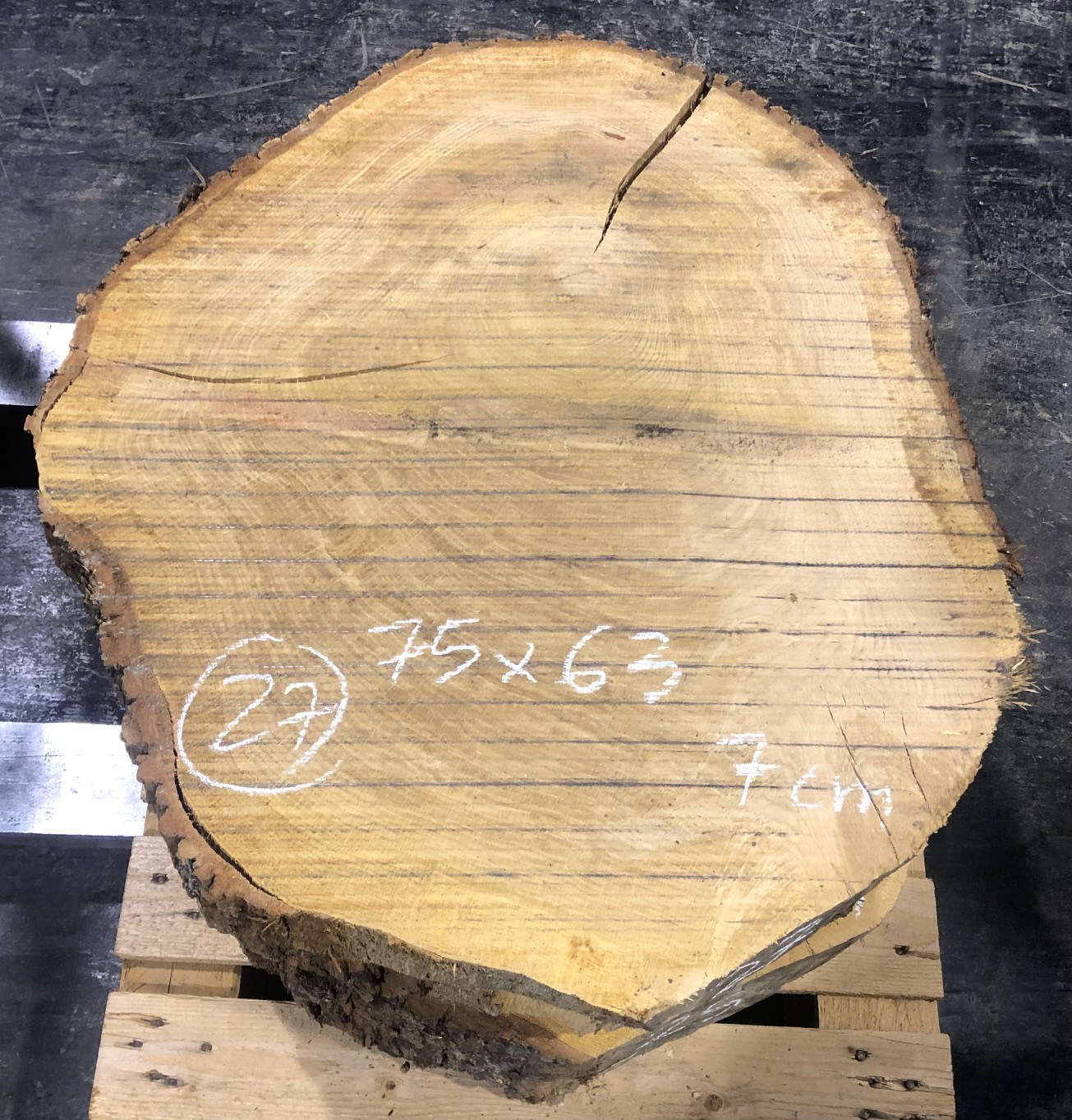 Roble, rodaja nº 27