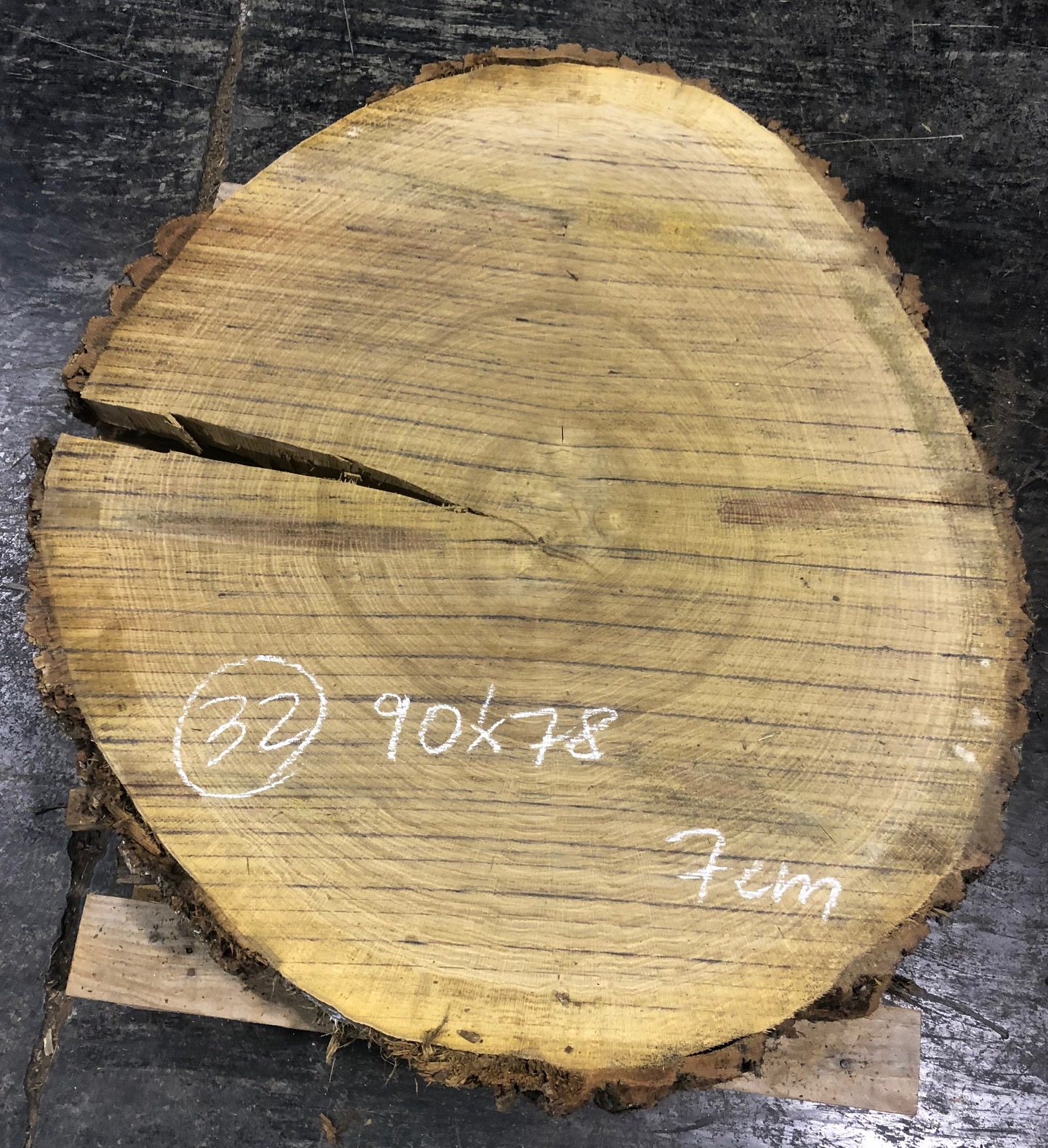 Roble, rodaja nº 32