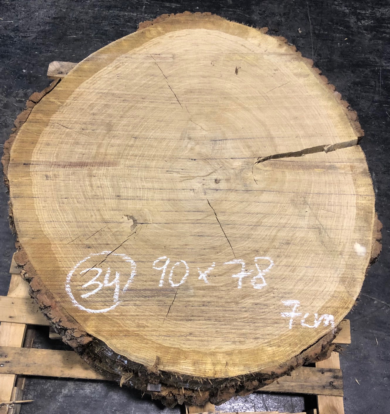 Roble, rodaja nº 34