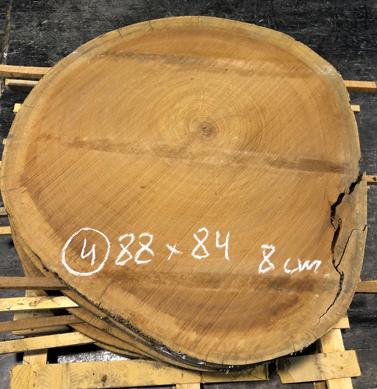 Sapelly, rodaja nº 04