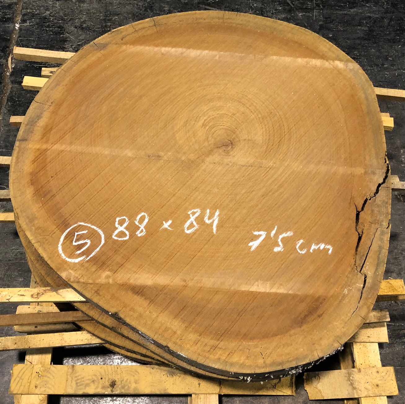 Sapelly, rodaja nº 05