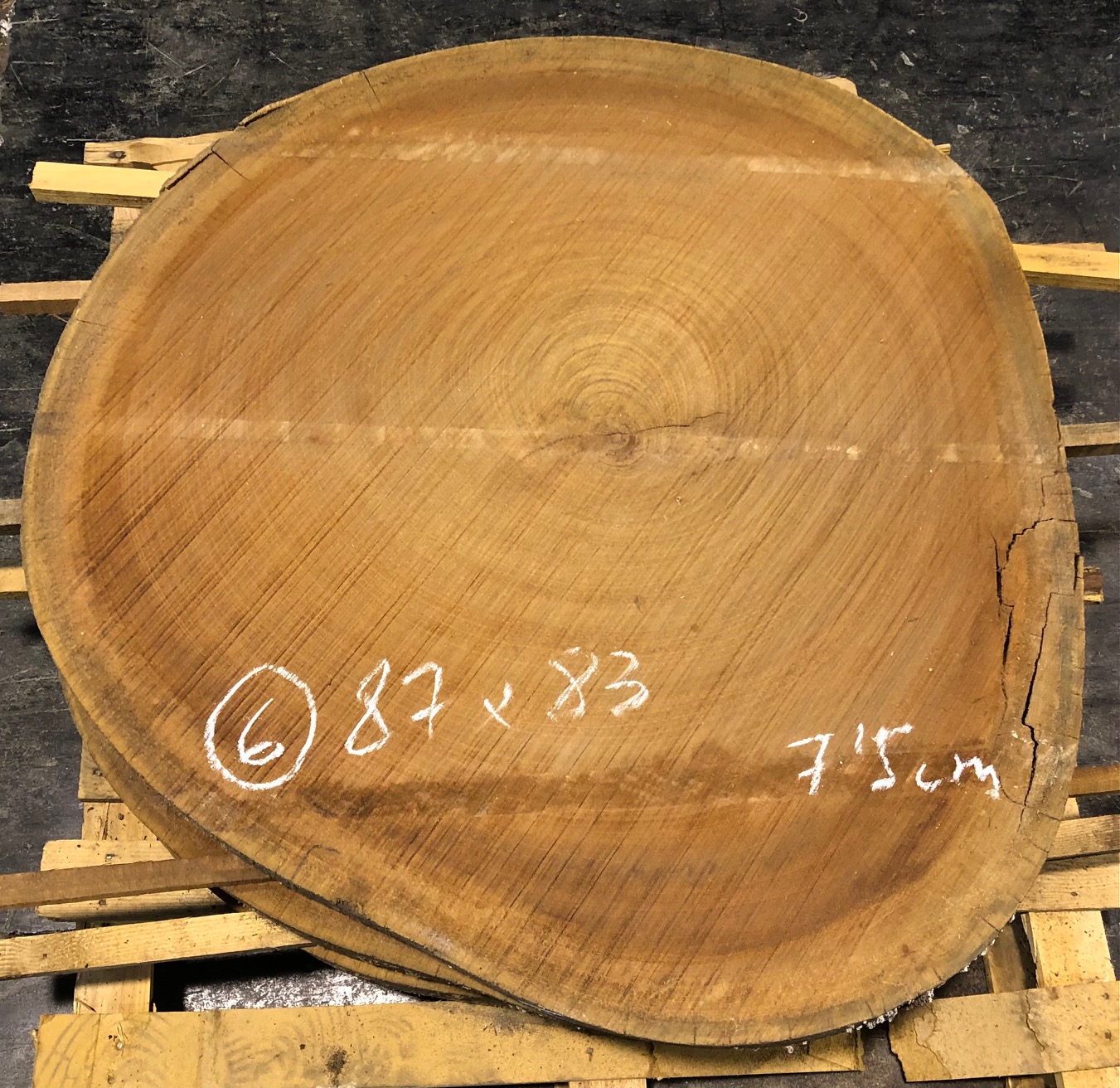 Sapelly, rodaja nº 06