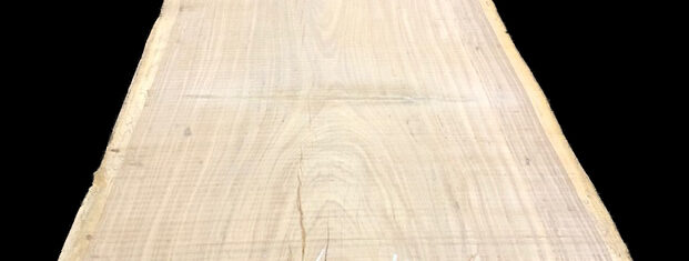 BELI 191 e1711102105385