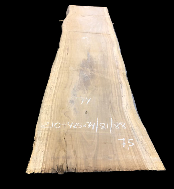 Beli nº 210 Valencia's Wood Luxury